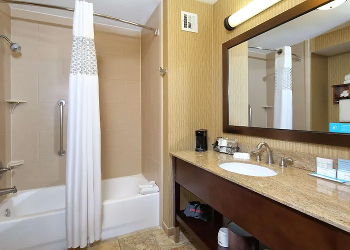 Hampton & Tucson Mall Hotel 3*
